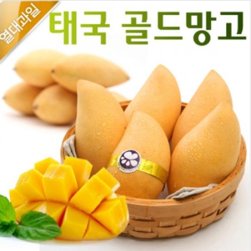 햇살아름 팔각 태국 골드 망고 4.2kg 12과_이미지