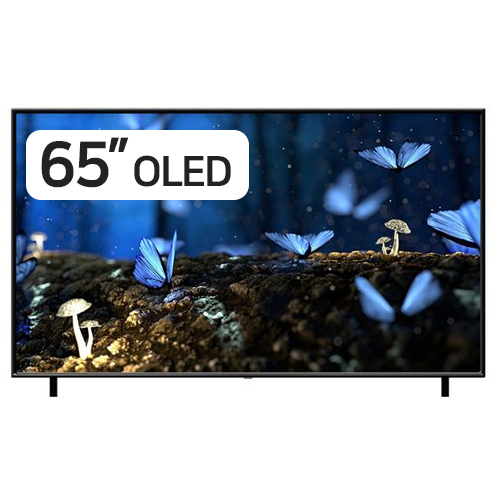 LG전자 올레드 OLED65A1NNA (스탠드)_이미지