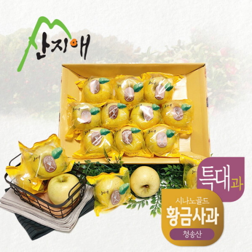  산지애 황금사과 시나노골드 특대과 3kg [2개]