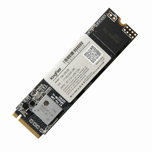 킹패스트 F8N M.2 NVMe (256GB)_이미지