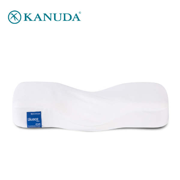 가누다 블루라벨 비바체 (60x29cm)