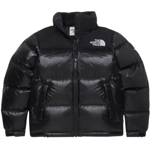 노스페이스 노벨티 눕시 다운 자켓 NJ1DP50J_이미지