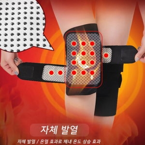 ��� �丣���� �������� ���� �״Ͻ� ���� ��ȣ��