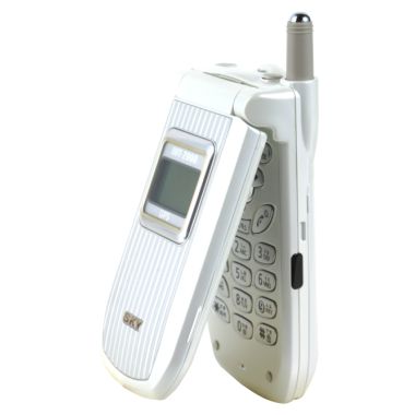 ���� SKY IM-5300 [SKT]