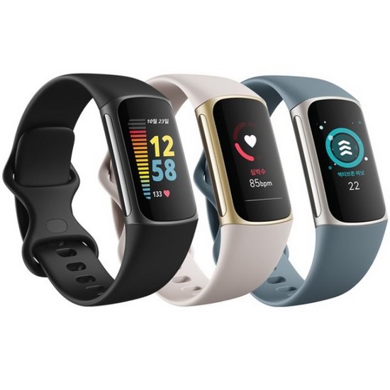 Google 핏빗 Charge 5 (해외구매)_이미지