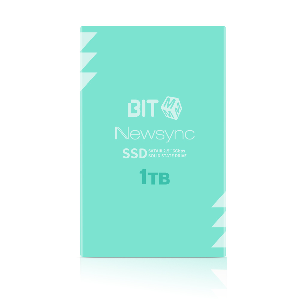 비트엠 Newsync BITS (1TB)_이미지
