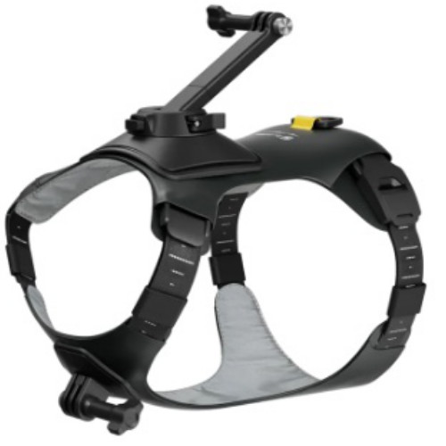 인스타360 펫 하네스마운트 M