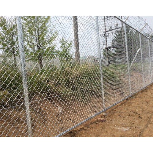 아연능형망 80mm (150cm x 5m)_이미지