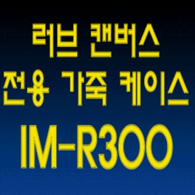 코엘 노블슈트 가죽케이스 (IM-R300)_이미지