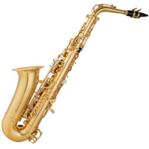 HOULI 알토색소폰 LH-875R