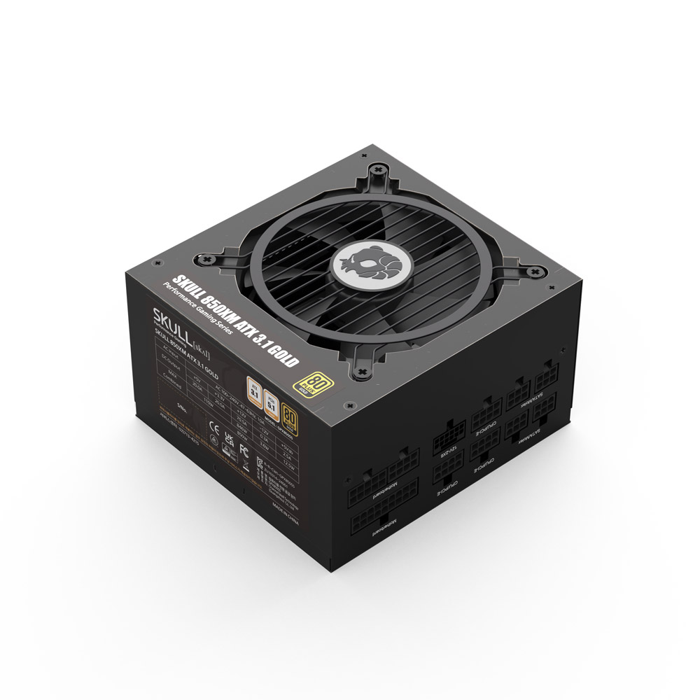 NEWZEN SKULL 850XM 풀모듈러 ATX3.1 80PLUS골드 블랙_이미지