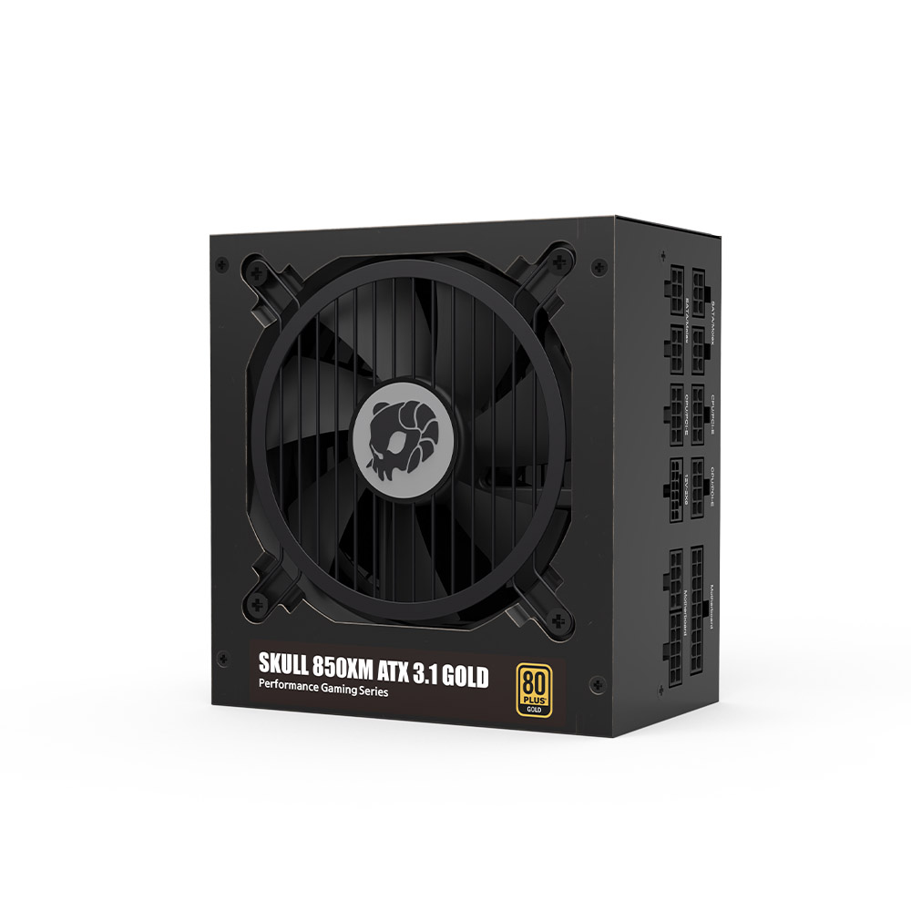 NEWZEN SKULL 850XM 풀모듈러 ATX3.1 80PLUS골드 블랙_이미지