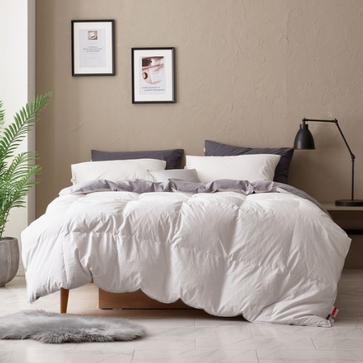 Ŭ����ĳ�� �������� 80�� ���е����� ��ü�� �����屸�� �����̺�