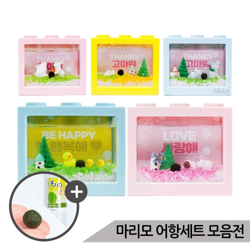 [불명] 올블루 스폰지밥 마리모 키우기 세트_이미지