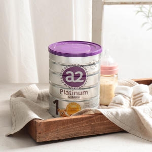 ���Ѿ��� �������� A2 �÷�Ƽ�� 1�ܰ� 900g