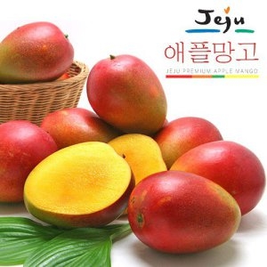 올찬농산농업회사법인 제주 애플망고 선물세트 특대 7~8과 3kg (1개)