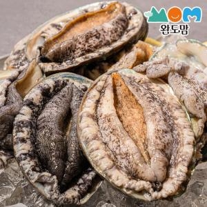 완도맘 완도 활 전복 특대 9-10미 1kg