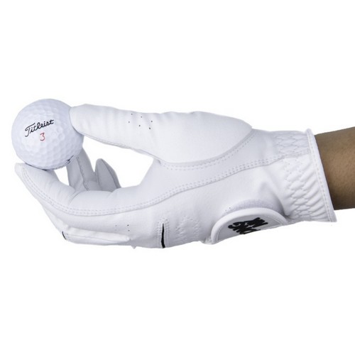 ������� ���� õ�� �ݾ��� �����尩 ������