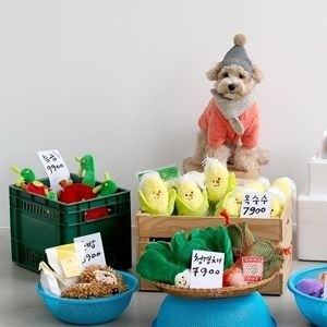 농산물 장난감 청경채