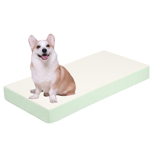 초코펫하우스 논슬립스텝 2.0 1단스텝