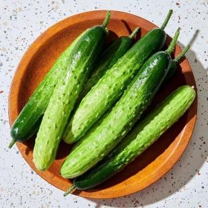 싱싱 국산 백 <b>오이</b> 8- 특 <b>오이</b> 백 다다기 <b>오이</b> 한박스 생오이 조선<b>오이</b> 오이지<b>오이</b> 반찬 거리