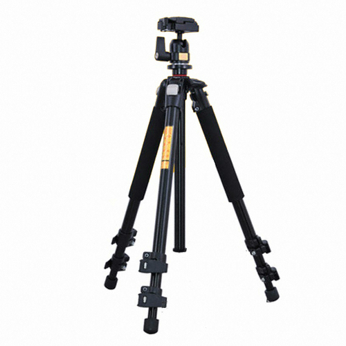 �ִн� Q301 �ﰢ��