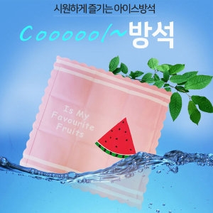 휠네이쳐 아이스 쿨방석/얼음 쿨발매트/애견/쿨러_이미지