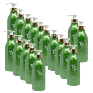 TS 골드플러스 TS 샴푸 500g (17개)_이미지