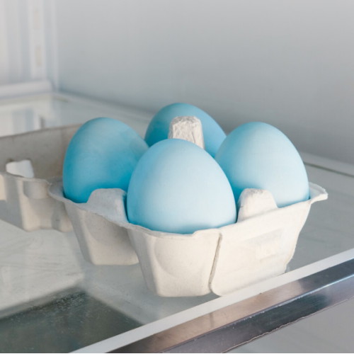 [�Ҹ�] ���������Ĵٵ� �����Դ� �ް�