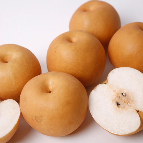 농부들의수확 나주배 가정용 16~20개(과) 15kg (1개)