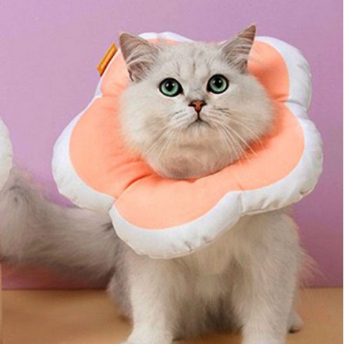 힐링타임 키티요요 넥카라 핑크이미지입니다. 누르면 해당 게시물로 새창이동합니다.