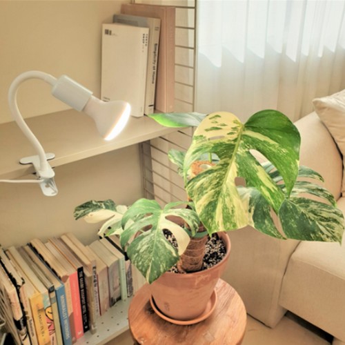 나인에스 집게타입 자바라 스탠드 2개_이미지