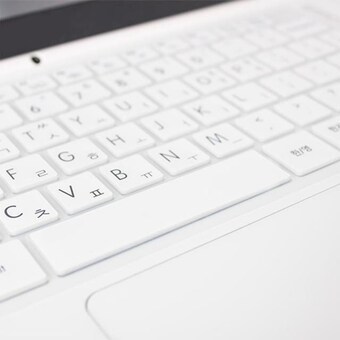 카라스 파인피아 LG 울트라PC 15UD490-GX36K용 말싸미키스킨