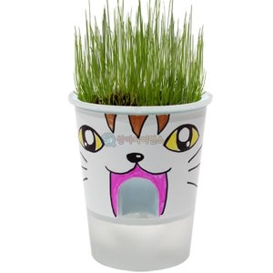 SA 거꾸로 물주기 화분 식물키우기 잔디 1인용포장