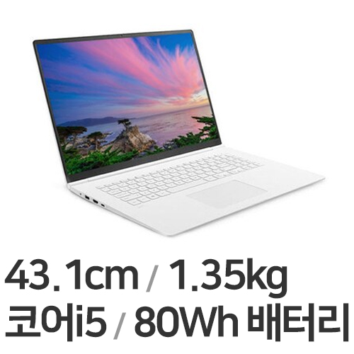 LG전자 2022 그램17 17ZD95P-GX5IK (SSD 256GB)_이미지
