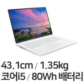 LG전자 2022 그램17 17ZD95P-GX5IK
