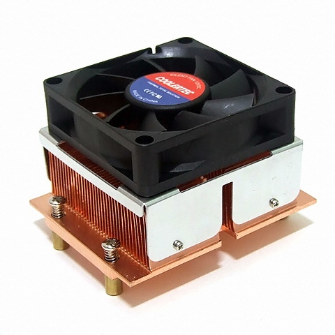 CT-XEON-771-DE 볼 베어링