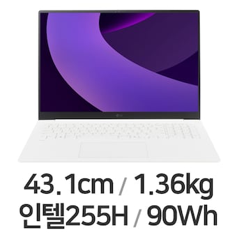 LG전자 2025 그램 프로17 17Z90TP-GD7CK