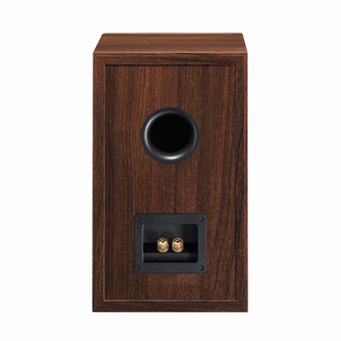 ���׳� Tempus 33