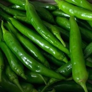  산정마을 고추 풋고추 1kg [1개]