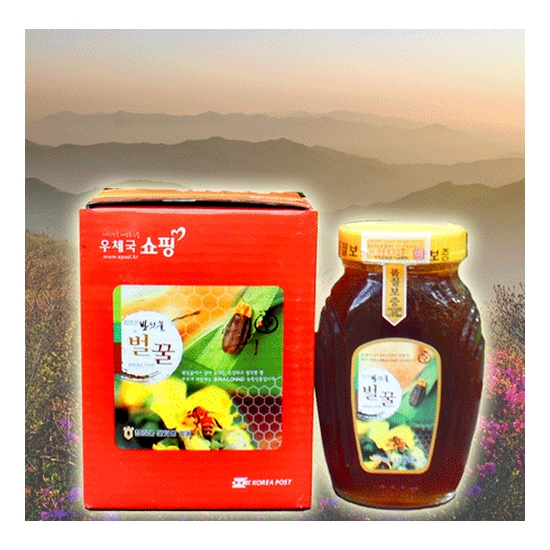 참조은 반딧불 벌꿀 밤꿀 1.2kg