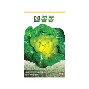 다농 봄동배추씨앗 20g