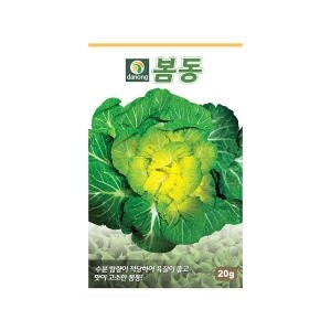다농 봄동배추<b>씨앗</b> 20g