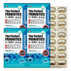 더 퍼펙트 유산균 60캡슐