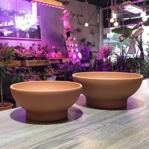 황토빛 분재형 수국 26x11cm 독일 토분 화분