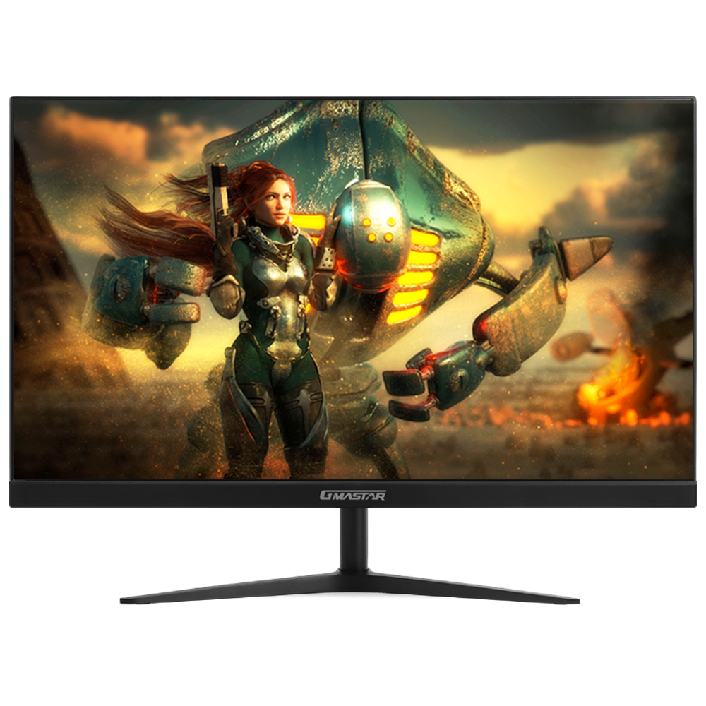 정림전자 GMASTAR JE242L6741 IPS FHD 리얼 165 HDR 게이밍