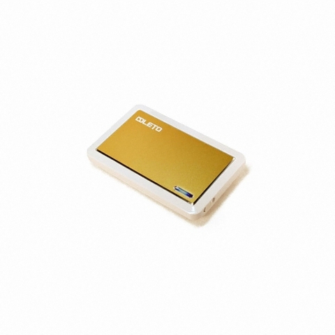 레토GMS LETO GMS25 골드 (250GB)_이미지