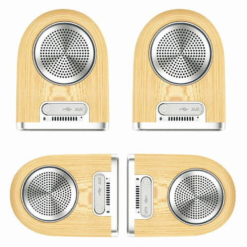 캐논 RAYO DUAL BTS 우드 (정품)_이미지