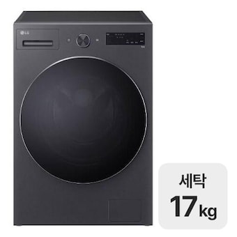 LG전자 트롬 F17NTPR