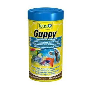 ��Ʈ�� ����Ǫ��